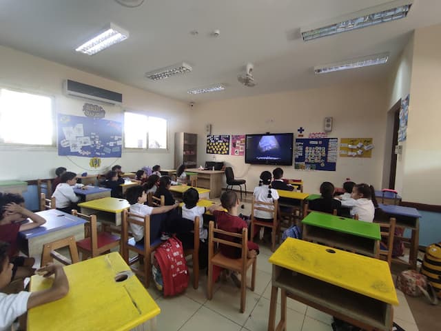 Nile Egyptian School (NES) - Zayed Branch