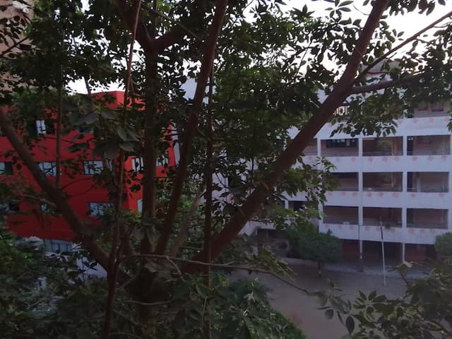 School Amany Private