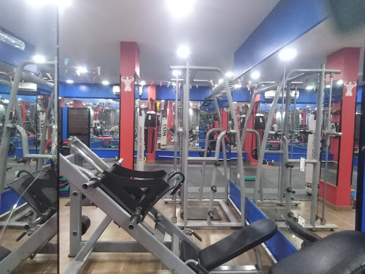 A1 GYM