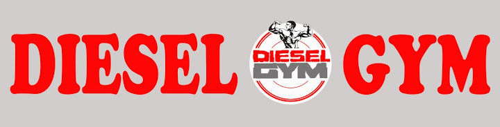 Diesel gym, alqanater al khayria road , al Qalyubia