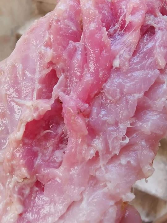 فسخانى المصطفى