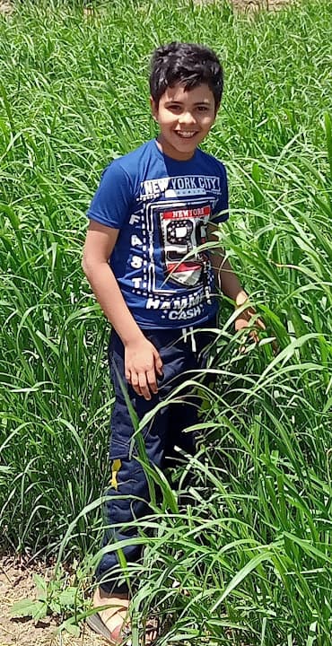 مدرسة ميت حلفا الابتدائيه