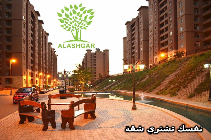 Alashgar Real Estate Agent