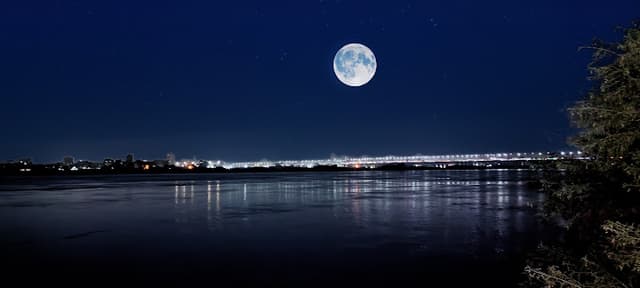 قهوة عمرو عباس حمودة