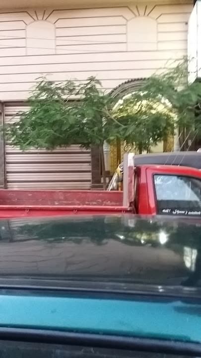 مركز الدكتور محمد الغريب لطب الأطفال وحديثى الولادة