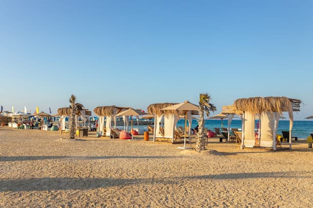 Maxim Development - ماكسيم ديفلوبمينت