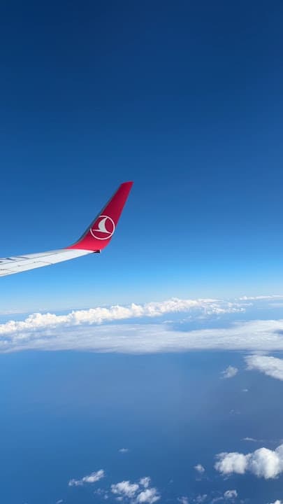 الخطوط الجوية التركية