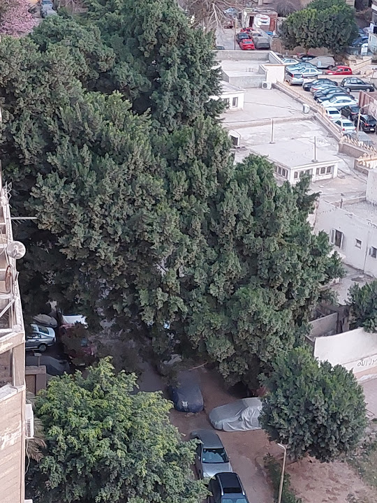 مسجد النور