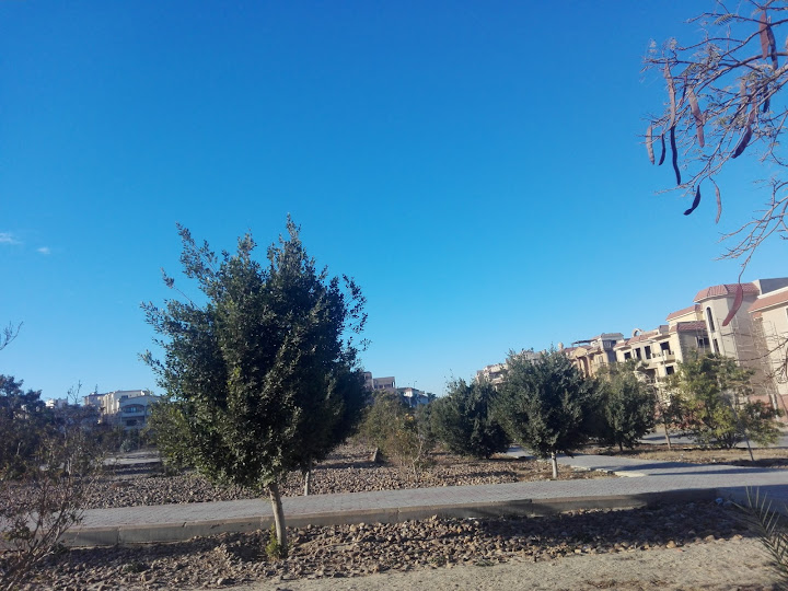 Masjid Al Sabeel