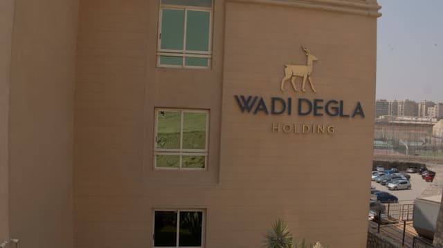 Wadi Degla Holding - وادي دجلة هولدينج