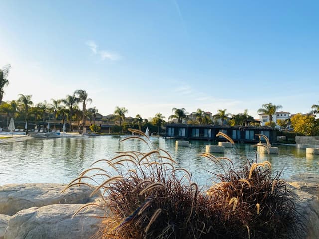 Palm Hills - بالم هيلز