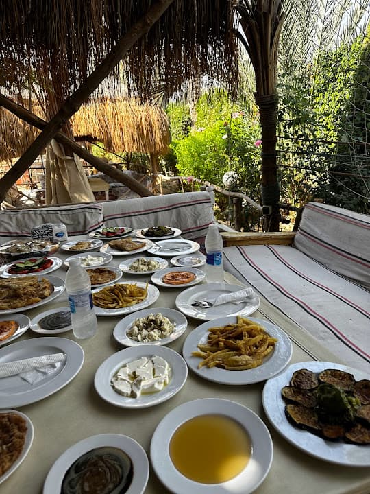 مزرعة صابح - sabe7 farm