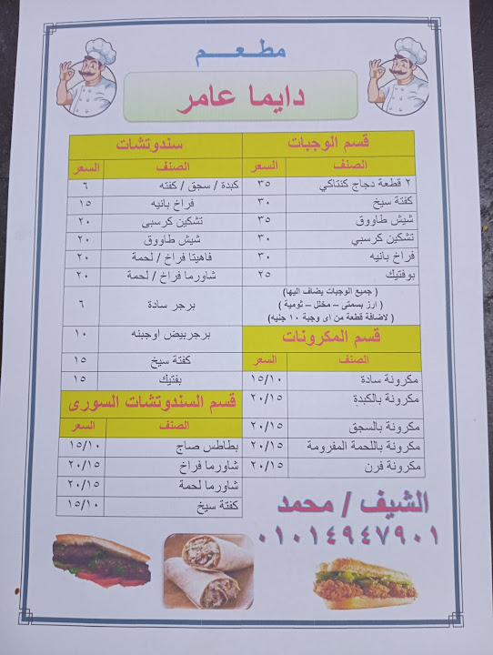 ديما عامر