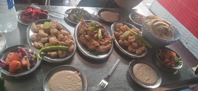 الشرقاوي كبده ومخ