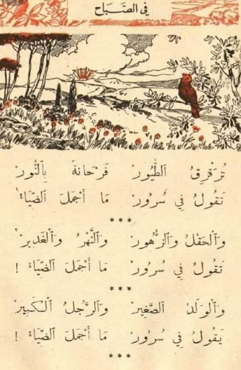مطعم شيخ في البلد