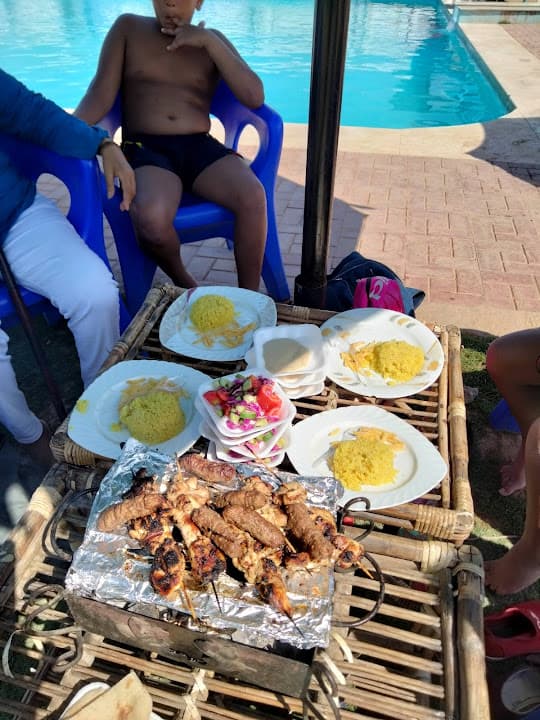 Treecienda - ( بلوبيري )