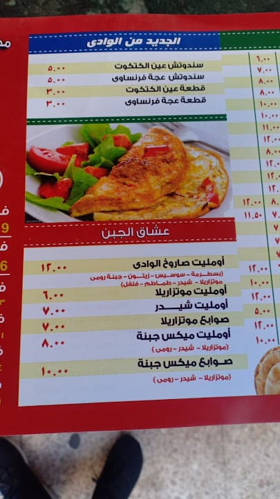 مطعم الوادي فول وفلافل