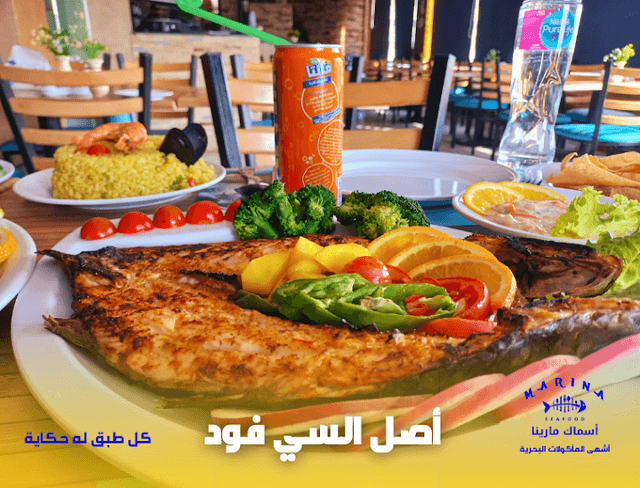 أسماك مارينا الشروق - Marina Fish