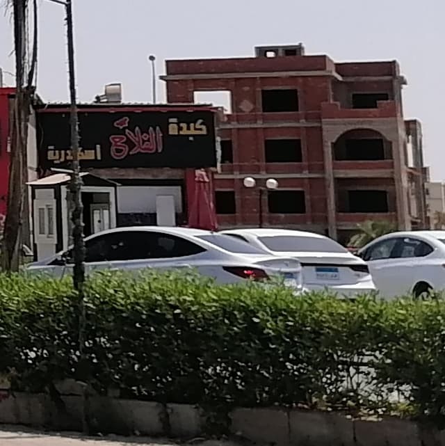 كبدة الفلاح إسكندرية