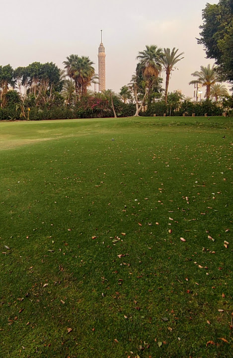 Gezira Club