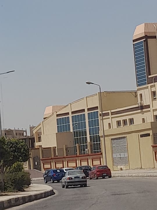 Nile Egyptian School (NES) - El Shorouk Branch