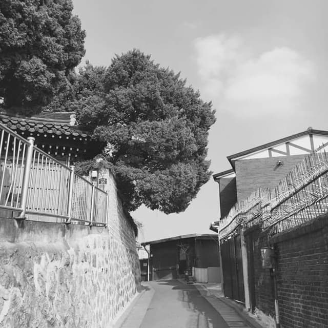 El Madaen Private School