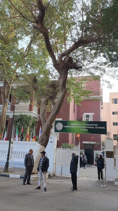 مدرسة بور سعيد الأمريكية