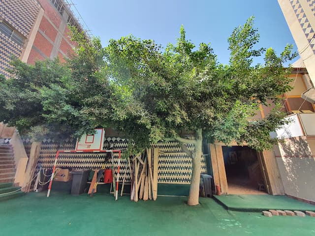 New Baby Garden Language School