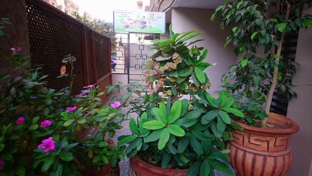 Little stars nursery