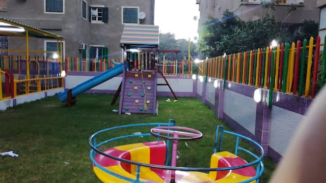 حضانة عصافير الجنة Birds of Paradise