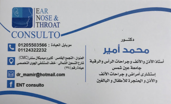 Professor Dr. Mohamed Amir