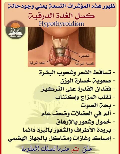 د/ محمد كمال سعد