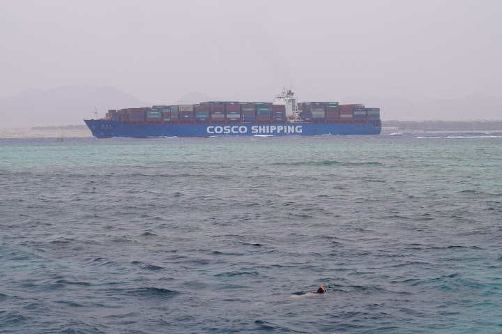 COSCO SHIPPING Lines ( EGYPT )