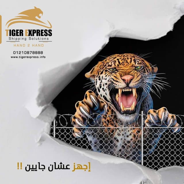 تايجر اكسبريس - Tiger Express