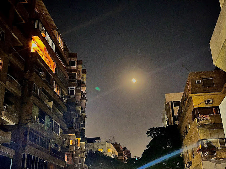 Coffee Zamalek