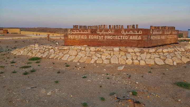 Petrified Forest