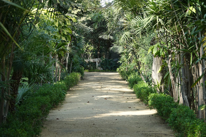 Mazhar Botanic Garden