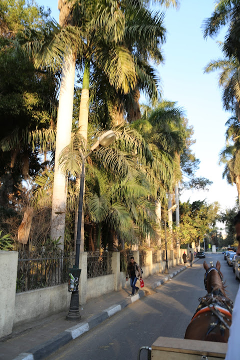 Al Zohriya Garden حديقة الزهرية
