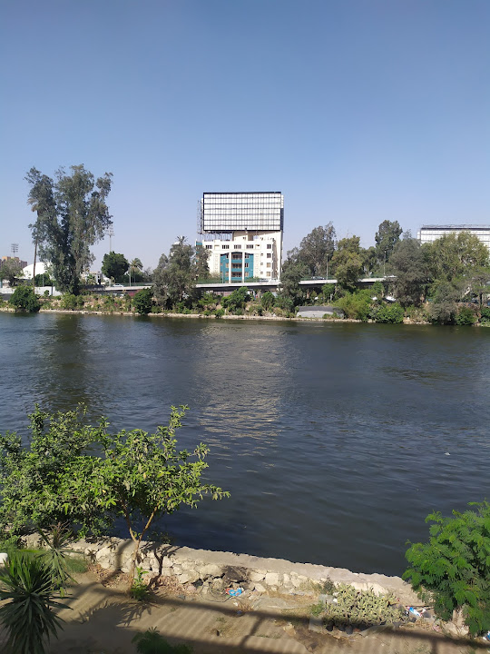 جاردينيا ١٠١