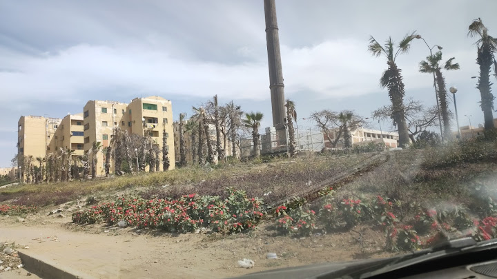 حديقة عامه