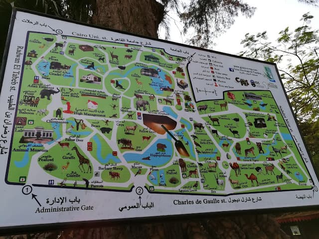 Cairo Zoo