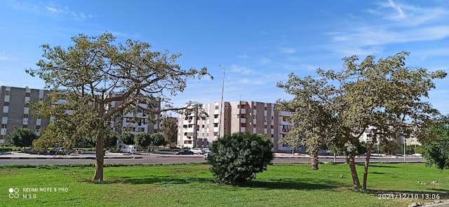 حديقة الرابط الأوسط