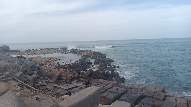 ام رشا كافية