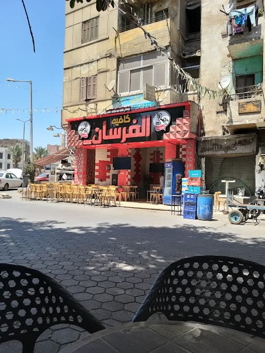 زهرة الميدان