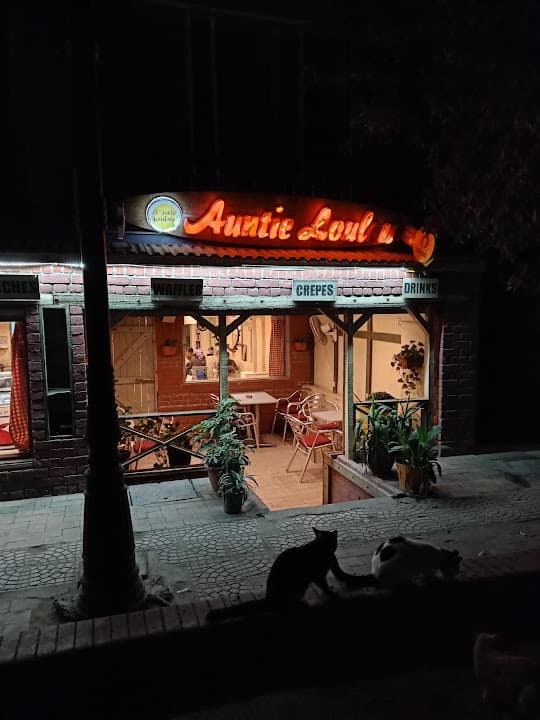 انتى لولو/Auntie loulou