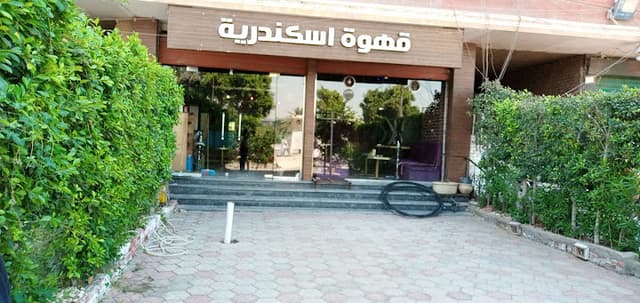 Alexandria Café - قهوة اسكندرية