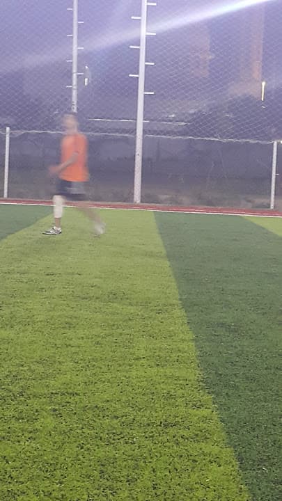 الجمهورية الابتدائية باجا