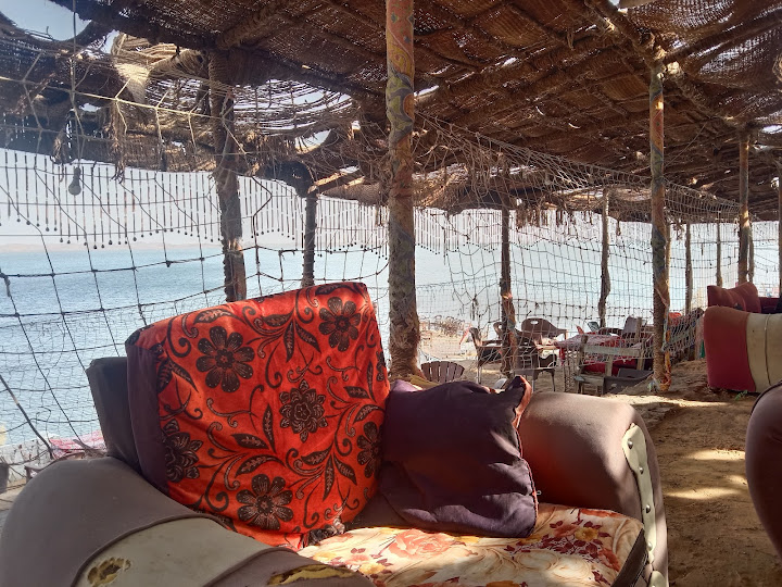 جزيرة التمساح