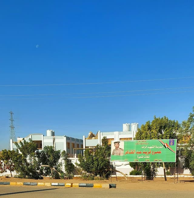 Aswan Distinct Official Language School