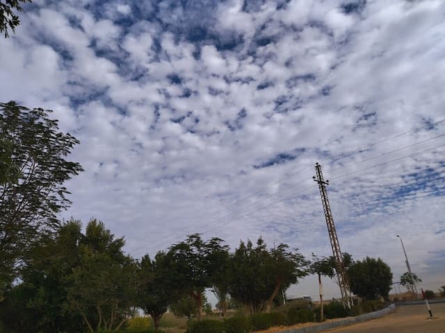 مدرسة الشهيد الرائد عمرو فريد عبد الظاهر للغات